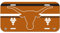 Wincraft NCAA University of Texas License Plate