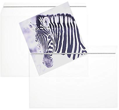 Blanke Briefhüllen, Durchsichtige Folienumschläge, 100 Stück, Haftklebung mit Abziehstreifen, Ohne Fenster, Gerade Klappe, 162 x 229 mm (DIN C5), 100 my Polypropylen, Glasklar