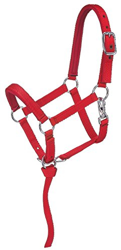 Tough 1 Nylon-Halfter, gepolstert, Größe L, Rot
