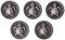 Franklin Brass Seaside Cottage (5-Pack) Cabinet Knobs | Brushed Satin Pewter Handles for Dresser Furniture Drawers/Kitchen/Door/Bathroom | 1-7/16 PBF656-BSP-C1