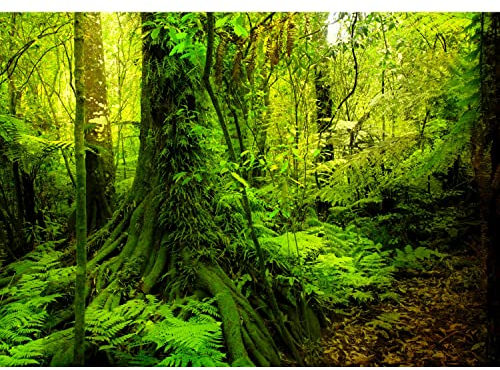 Runa Art Fototapete Wald Landschaft Modern Vlies Wohnzimmer Schlafzimmer - Made in Germany - 308 x 220 cm Grün 9010010c