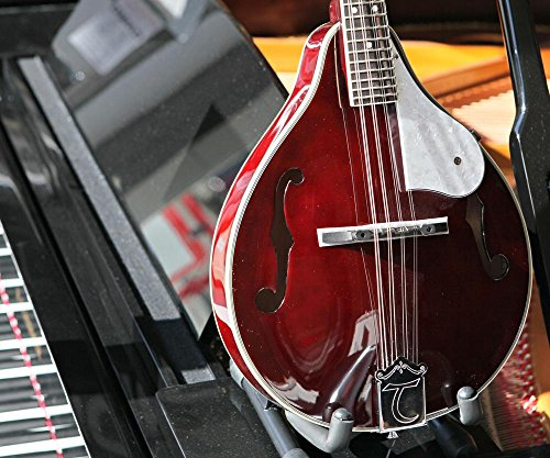 Teardrop A Style F Hole Mandolin Red Gloss: Mandolin