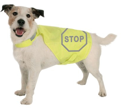 MAXI SAFE Sicherheitsweste für Hunde, Rückenlänge 35 cm