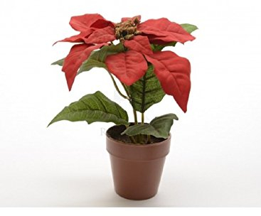 Kaemingk Poinsetten getopft, Deko, Weihnachtsstern rot, Poinsetten, Textil, Ca. 26 cm