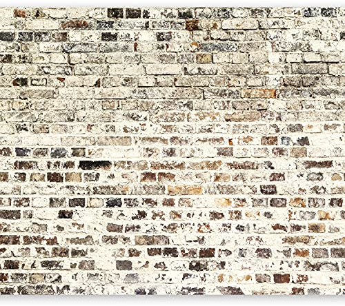 Fototapete murando 400x280 cm Vlies Tapeten Wandtapete XXL Moderne Wanddeko Design Wand Dekoration Wohnzimmer Schlafzimmer Büro Flur Ziegel Mauer Beton f-B-0019-a-a