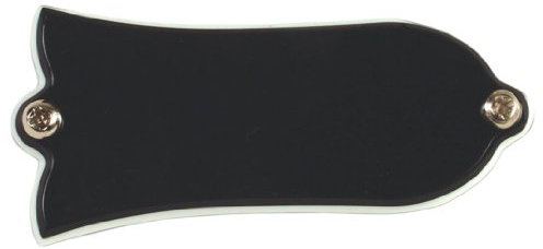 Gibson Gear PRTR-010 Custodia per Truss Rod, Vuota