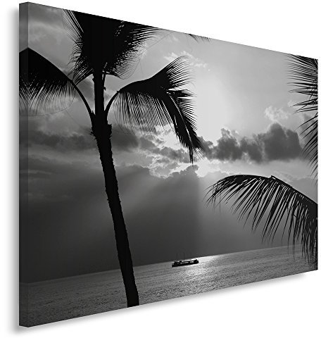 Feeby Impression Sur Toile Vue Palmiers XXL 120x80 cm Tableaux Tableau Mural Image Moderne Photo Décoration Murale Artistique Photographie Design Chambre Salon Cuisine Ciel Mer Noir Et Blanc