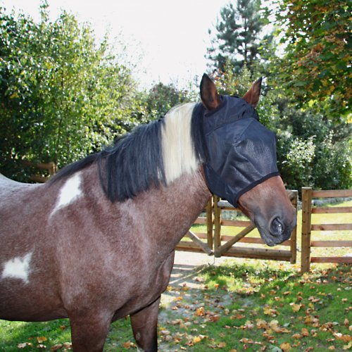 KERBL Protection Anti-Mouches pour Yeux pour Demi-Sang