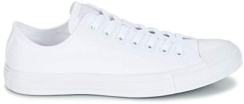 Converse Unisex Chuck Taylor All Star Seasonal-OX Sneakers, 137 White White Silver, 50 EU