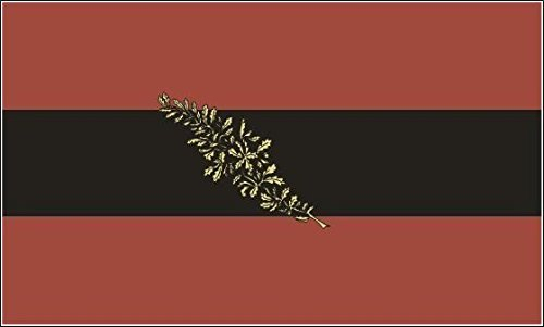 U24 Fahne Flagge Jenaer Burschenschaft 90 x 150 cm