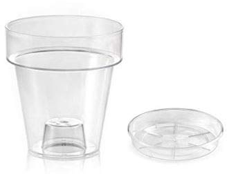 Teraplast Jarrón Transparente Puerto con Soporte para orquídeas de 16 cm de diámetro Completo con Base de Maceta (5)