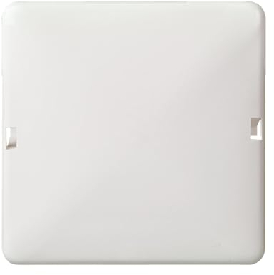 Elso 503034 Blindabdeckung rastb.2-f.RENrw