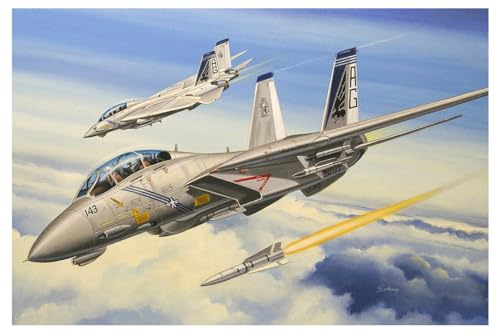 Hobbyboss 1:72 Scale F-14b Tomcat Diecast Model Kit