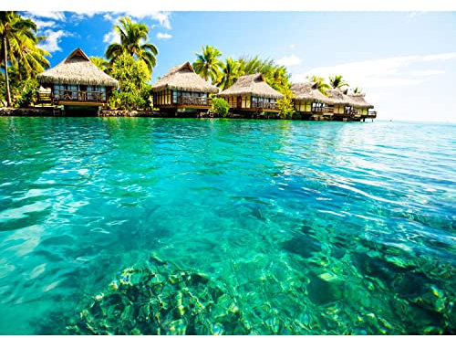 Runa Art Papel tapiz fotográfico 396 x 280 cm Playa del mar Caribe | Lana Decoración De Pared Sala Cuarto | Fabricación alemana | Verde azul 9011012c