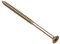 Bargainscrews Lot de 100 vis à cartons multi usages 5.0 x 90mm