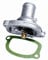 Wahler 3151.87D Termostato per il Refrigerante
