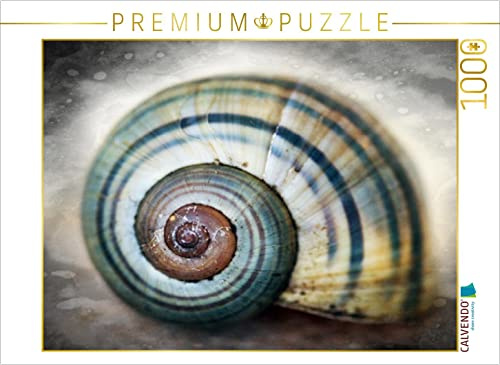 CALVENDO Puzzle EIN Motiv aus dem Kalender Schneckenhäuser | 1000 Teile Lege-Größe 64 x 48 cm Foto-Puzzle für glückliche Stunden