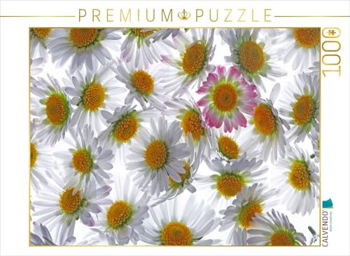 CALVENDO Puzzle Gänseblümchen | 1000 Teile Lege-Größe 64 x 48 cm Foto-Puzzle für glückliche Stunden