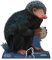 Star Einbauöffnungen niffler Fantastische Beasts Life Größe Karton, Mehrfarbig