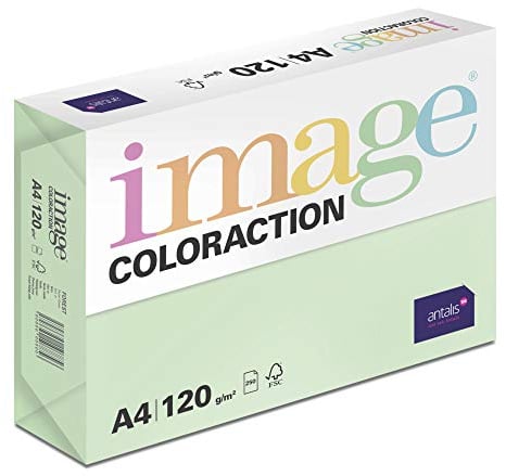 Image Coloraction Forest - farbiges Kopierpapier - DIN A4, 210 x 297 mm, 120 g/m² - buntes, holzfreies Druckerpapier für Kopierer - 250 Blatt - Grün