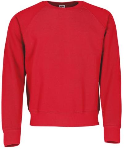 Fruit of the Loom Men's Raglan Classic Sweater (pack of 1)