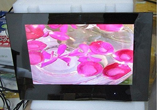 GOWE 19'' Bathroom Mirror LED TV