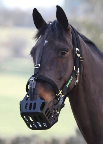 GREENGUARD Shires Anti Grazing Muzzle With Straps Full (Horse) Size