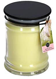 Bridgewater Candle Small Jar Spring Dress 250 g