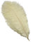 Sowder 10pcs Strauß-Federn 12-14inch (30-35cm) für Haupthochzeits-Dekoration (Elfenbein)
