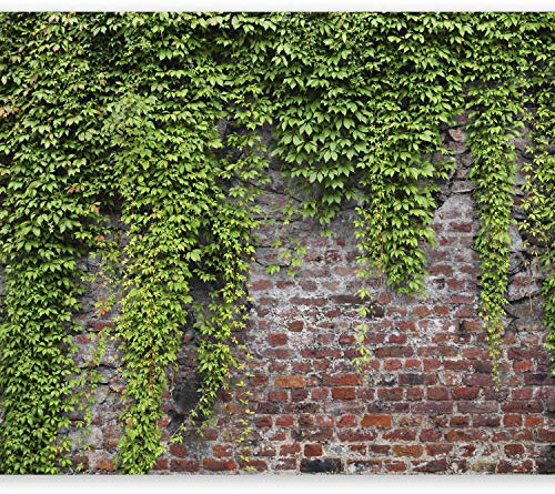 Fototapete murando 400x280 cm Vlies Tapeten Wandtapete XXL Moderne Wanddeko Design Wand Dekoration Wohnzimmer Schlafzimmer Büro Flur Steine Mauer Efeu b-A-0173-a-c