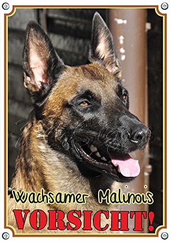 Petsigns Warnschild - Wachsamer Malinois! Robustes Metallschild, DIN A4