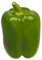 California Wonder 300 TMR - 100 Paprika Samen - Riesen Paprika !!