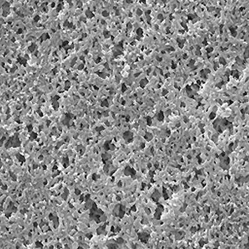 millipore 044192 Filtre à membrane en nylon 0,45 µm, diamètre 25 mm