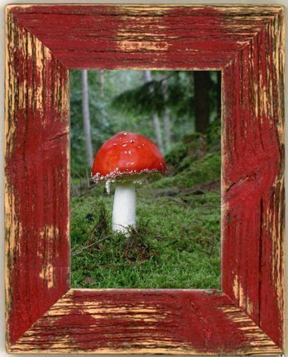 Bilderrahmen Landhaus rot 20x30 cm