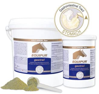 EQUIPUR gastral | 1 kg | Ergänzungsfuttermittel für Pferde | Zur Unterstützung der Magenschleimhaut | Mit Omega-3 und Vitaminen | Für Sport- und Freizeitpferde geeignet | Pulver