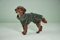 Wolters Welpenbett, Hundebett, Katzenbett SOFT DREAMS 45 cm