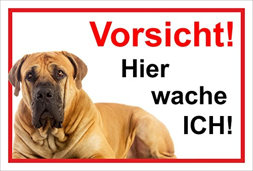 Melis Folienwerkstatt Schild Warnschild Vorsicht freilaufender Hund – Dogge Achtung – Hier wache ich – 20x30cm – S21E