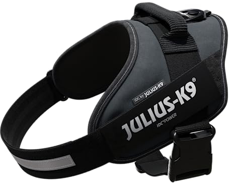 Julius-K9, IDC Powergeschirr, Größe: L / 1, Anthrazit