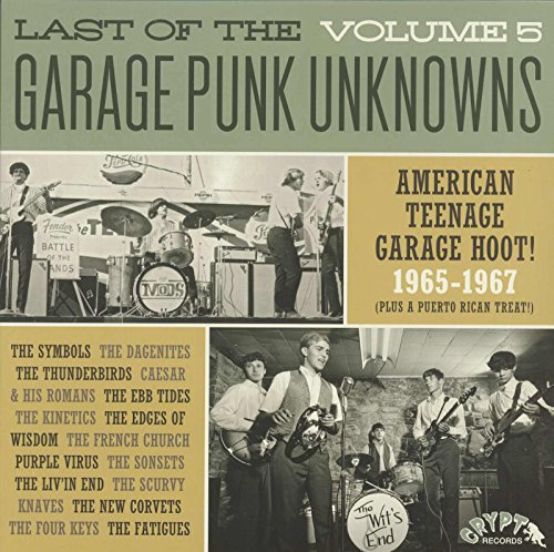 Last Of The Garage Punk Unknowns 5 (Various Artists)