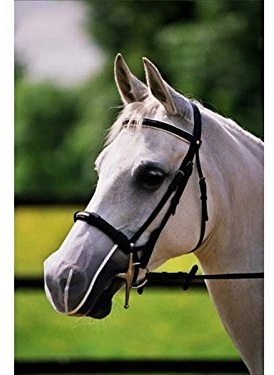 Equilibrium Fressbremse