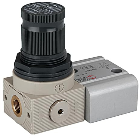 RIEGLER 101537-B-930 Reglereinheit (Regler+Adapter+Befestigungsteile) für Booster G1/8, 1Stk