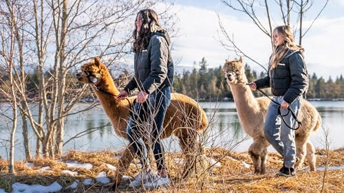 JOCHEN SCHWEIZER Geschenkgutschein: Alpaka Wanderung