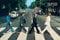 Poster Beatles - abbey road - Größe 61x 91,5 cm - Maxiposter