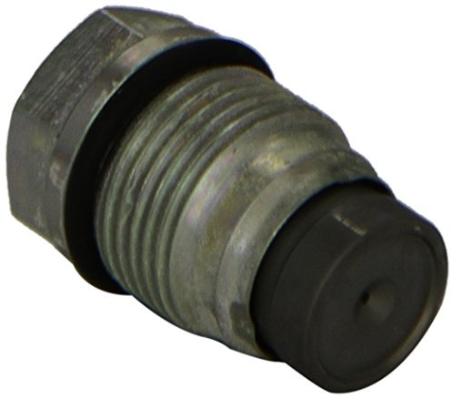 Bosch Relief Valve - 1110010013