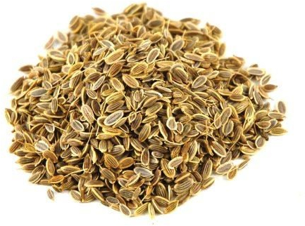 JALPUR MILLERS Dill Seeds Whole 100g – premium Healthy Culinary Grade – dill Seed Spice ideal for Cooking & Pickling – Premium Dill Seeds for Planting UK – Natural, Aromatic & Additive-Free