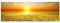 Panoramabilder auf Leinwand und Keilrahmen - Modernes Wandbild 'Mohnblumen Feld' (150x50cm) - Giclée Kunstdruck auf Leinwand mit Holzrahmen - Für Wohnzimmer und Schlafzimmer