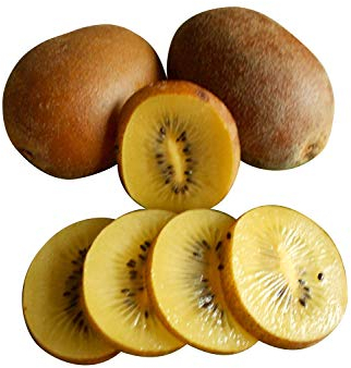 Kiwi Golden Tao, gelbe Frucht 20 Samen (Winterhart) RAR.