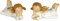 Posi 2-TLG. Engel liegend H=3,5 cm - Creme Gold
