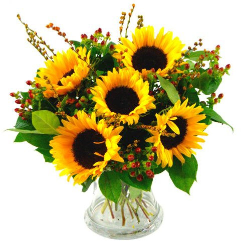Clare Florist Radiant Sunflower Surprise Fresh Flowers Bouquet - Gorgeous Sunflowers Hand Arranged
