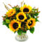 Clare Florist Radiant Sunflower Surprise Fresh Flowers Bouquet - Gorgeous Sunflowers Hand Arranged
